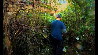 This Garden Looked Completely Gone… Until I Started