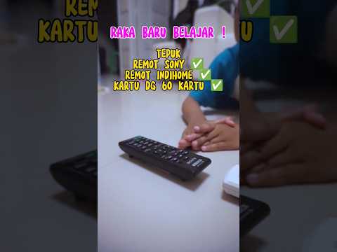 RAKA TEPUK REMOT