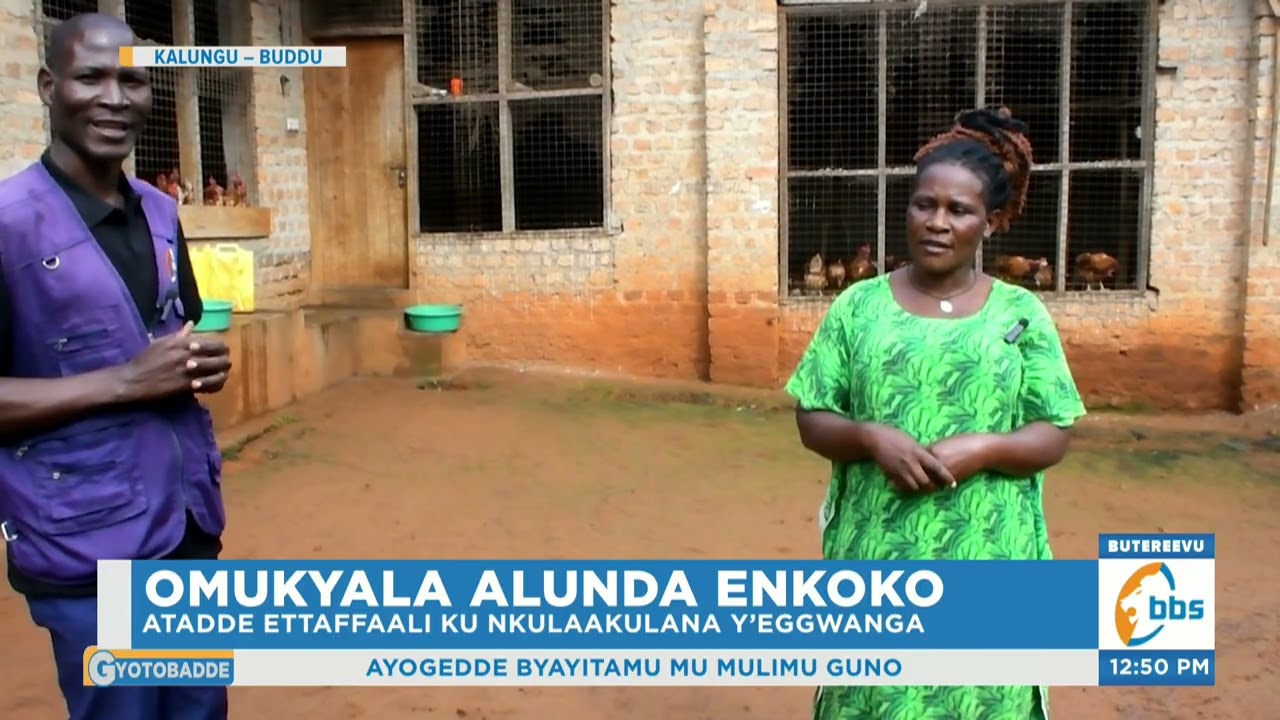 Omukyala Alunda Enkoko, Ayogedde Byayitamu mu Mulimu Guno . #Gyotobadde