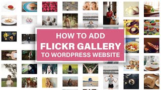 How To Add Flickr Gallery On WordPress Website - Album Gallery Photostream Profile For Flickr