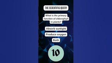 Unlocking Job Insights: Mastering Interview Puzzles! 💼 #shorts  #puzzle