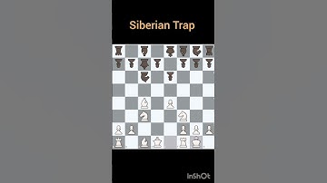 Siberian Trap  #sports #chess #game  #chess hub #chess tips #chess technique #chess skills