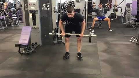 Bent over supinated grip EZ bar row