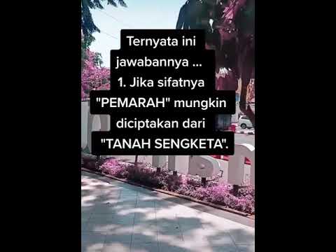  Kata kata  tiktok keren  YouTube