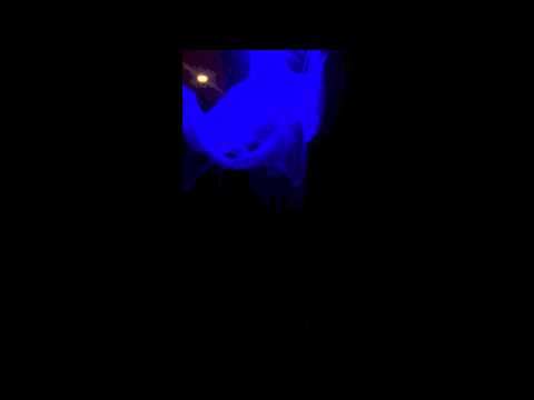 Flying Crank Ghost - Elestra