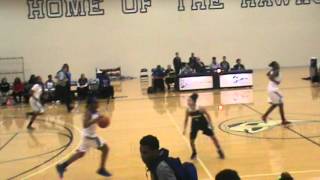 Henry Ford Lady Hawks Vs St Clair College