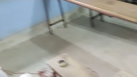 Foundation Class For 11th