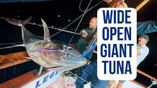 Giant Bluefin Mayhem | Captain's POV