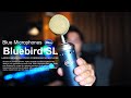 【念願】Bluebird SL のコンデンサーマイク を購入しました！【比較あり】