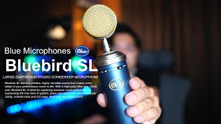 【念願】Bluebird SL のコンデンサーマイク を購入しました！【比較あり】