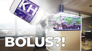 What did BOLUS do to my reef tank?!