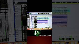 Olha esse balanço de gaita gaúcha 👀 #gaitagaúcha #músicagaúcha #vaneira