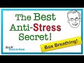 The Best Anti-Stress Secret - Box Breathing &amp; Your Vagus Nerve
