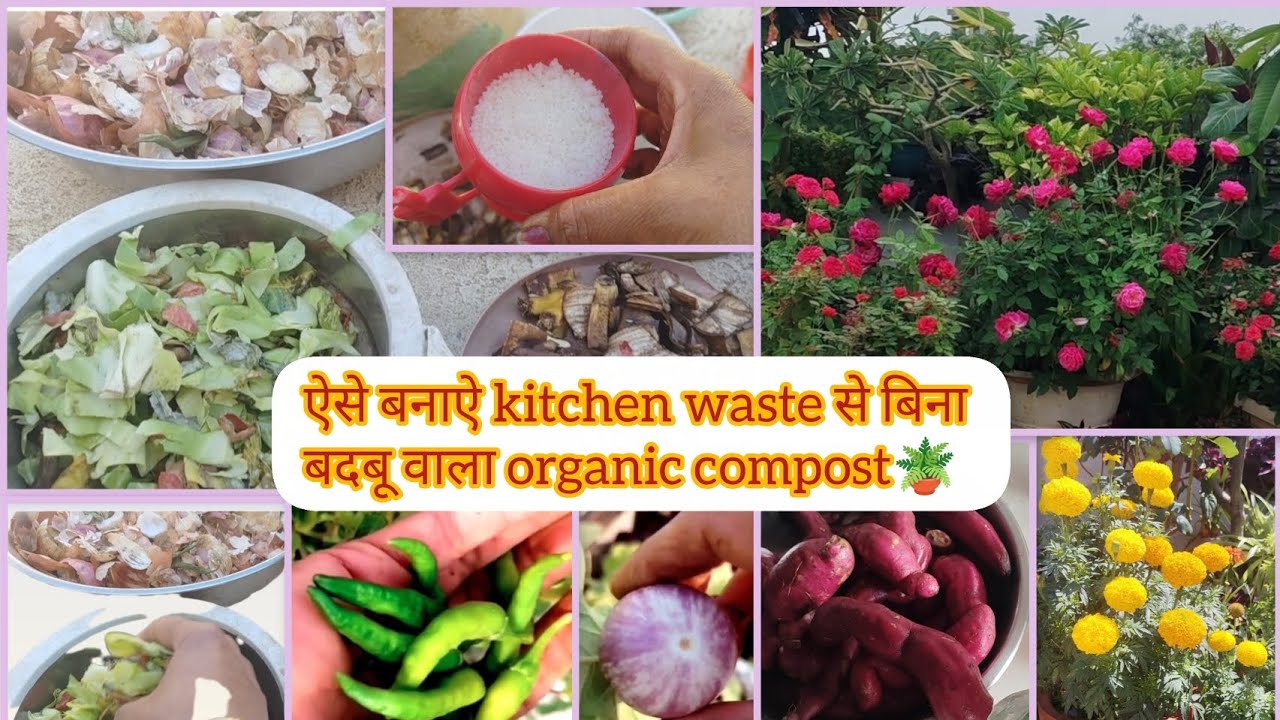  How to make organic compost for garden( इस एक चिजको kitchen waste  में जरुर डाले खाद जल्दी बनेगी) 