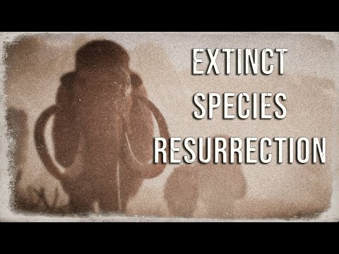 Video: Scientists Have Determined Which Of The Extinct Animals Is Easiest To Resurrect - Alternative View