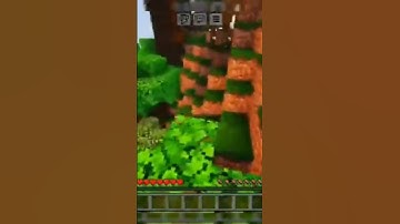 Shader test on Android #minecraft #vivoy11s #shaders #shorts