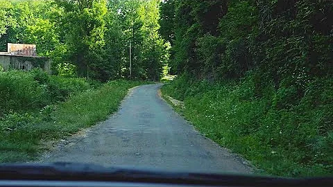 Copperhead Road : le chemin de l'Appalachia derrière la chanson