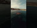 حط الخنجر بقليبي دخيلك مكن صوابك تصميم فيديوهات Fouryoupage Foryou Fypシ دعمكم لايك واشتراك حط الخنجر بقليبي دخيلك مكن صوابك تصميم فيديوهات Fouryoupage Foryou Fypシ دعمكم لايك واشتراك