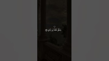 الشيخ محمود علي البنا  - سوره طه #quran #رمضان #allah #اكسبلور #prophetmuhammad #قران_كريم #islam #