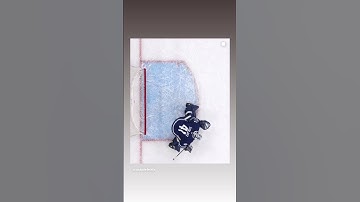 Another brilliant save from Anthony Stolarz #goleafsgo