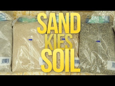 SAND, KIES oder SOIL - UNTERSCHIED & BESTE WAHL? | GarnelenTv