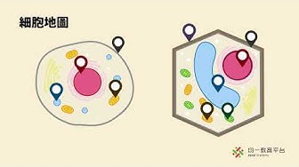 生物 Youtube