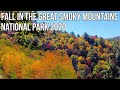 2020 Fall Colors are Peaking in The Great Smoky Mountains National Park