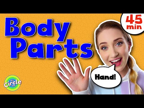 Learn Body Parts with Miss Sarah Sunshine | Educational videos for toddlers