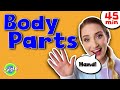 Learn body parts with miss sarah sunshine  educationals for toddlers