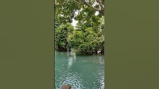 River #nature #river #rivers #asmr #asmrsounds #naturelovers #shortvideo #youtubeshorts #shorts