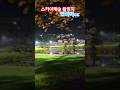 스카이캐슬 촬영지였던 코리아cc #골프장 #챌린지 코스 #골프장후기 #드라마촬영지 #예쁜골프장 #golf #golfshorts #golflife #파3 #골프 #view #가을