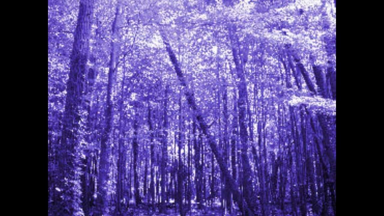 Tonton Shade - Chains di YouTube Tonton Shade - Chains di YouTube