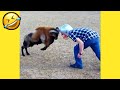 مقاطع مضحكة2021😂 اضحك من قلبك مقاطع مضحكة جديدة🤣😂😅#(6)