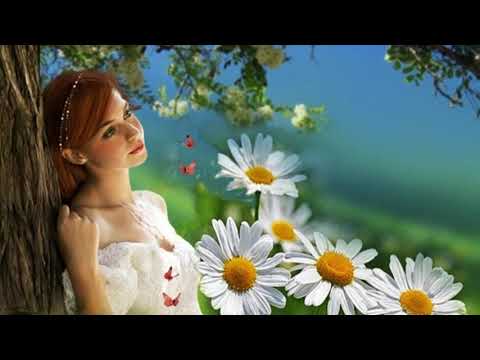 Полевой цветочек – милая ромашка