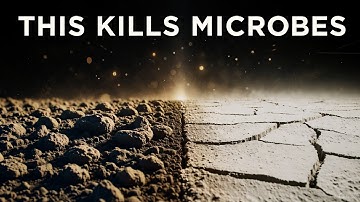 These Two Things Kill Soil Microbes — And How to Revive Them