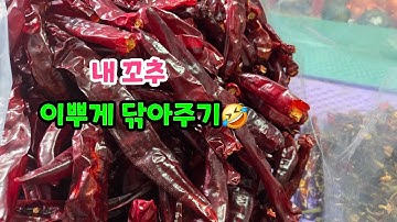 강원도 토종꿀 첫 채밀🤣