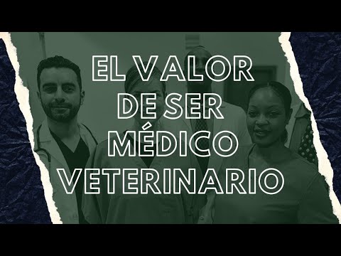 ¿Es La Medicina Veterinaria Una Profesión Sanitaria?