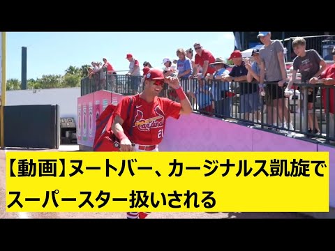 【動画】ヌートバー、カージナルス凱旋でスーパースター扱いされる