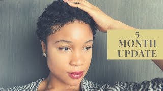 5 Months Post Big Chop! Natural Hair Update!