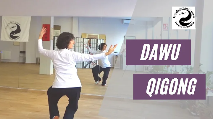 Qigong de Salud DAWU  La Gran Danza  [Back view with mirrow]