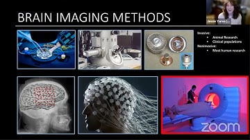 Modeling the Human Brain - Jessie Yaros