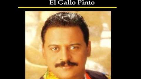 EL GALLO PINTO - WILFRIDO VARGAS