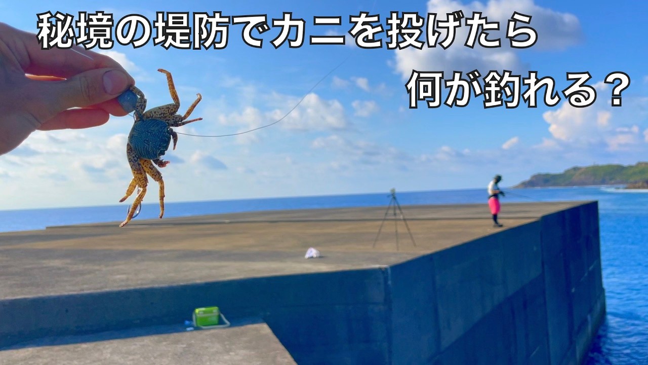足元に潜む大物を狙う、エサ代0円の五目釣りが面白い！