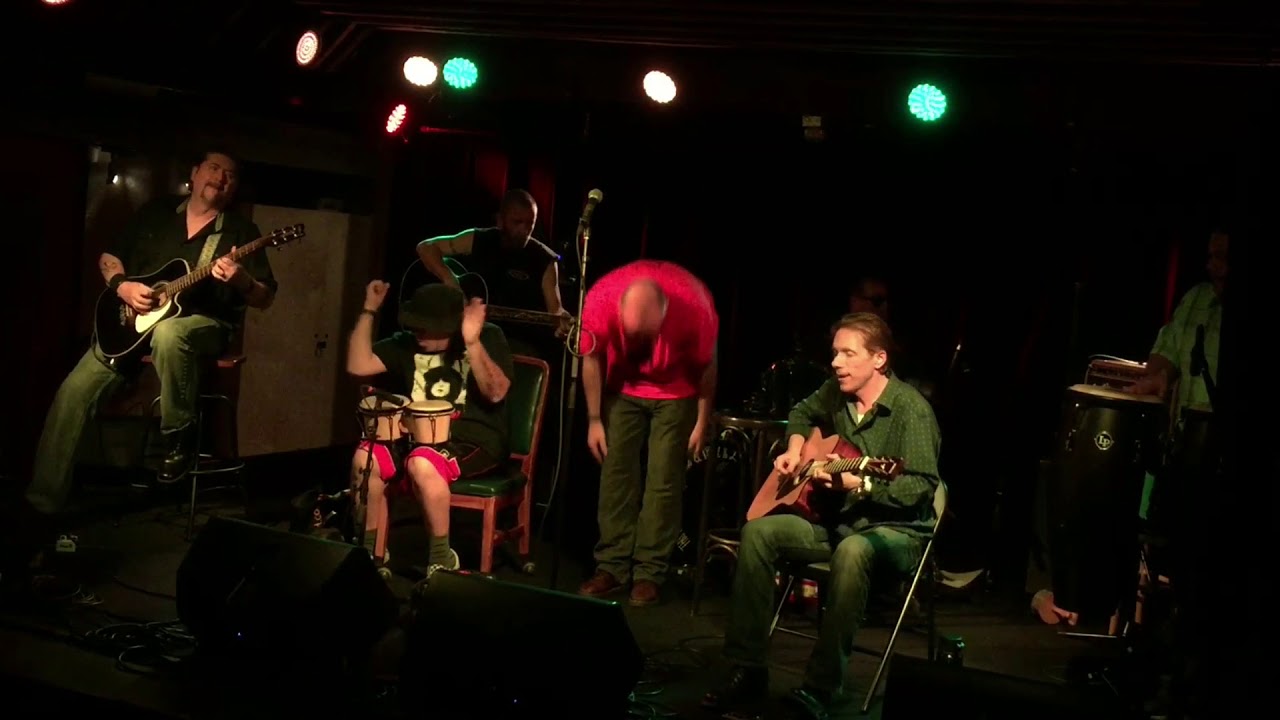 Watch Fat Gray Cat- MTV on YouTube Watch Fat Gray Cat- MTV on YouTube