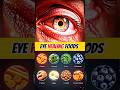8 Best Foods for Eye Health | Improve Vision Naturally