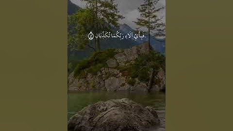 القارئ سالم الرويلي - سورة الرحمن | مقاطع قرآن قصيرة وحالات واتس إسلامية 🌱