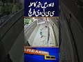 Lahore 3 People Injured In Lion Attack In Johar Town CCTV Footage Shorts Lahore 3 People Injured In Lion Attack In Johar Town CCTV Footage Shorts