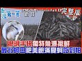 [全新] 新竹【獨特&quot;魚瀑搶鮮&quot;不只眼明還得手快/「全台最北蚵田」尚青甜度1000%&quot;紫環貝、肥美飽滿夏蚵&quot;吃到怕/深山香草仙境&quot;桃寶&quot;日本人就愛它煉丹】│2023.09.24│《台灣第一等》完整版