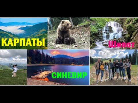 Львов - Карпаты из Минска / озеро Синевир / водопад Шипот / Бурые медведи