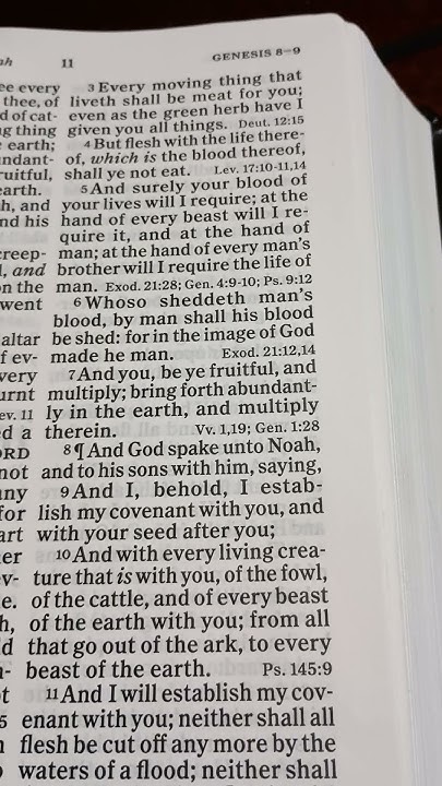 genesis-chapter-9-verse-6-jesuslovesyou-bible-jesus-bibleverses
